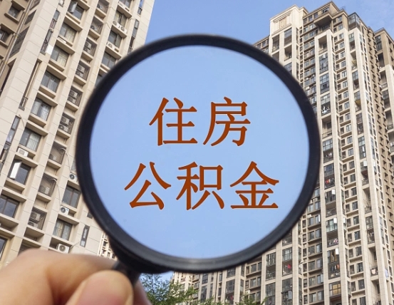 柳林退休后查不到公积金明细了吗（退休后公积金查询不到原因）